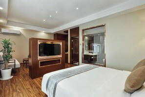 Habitación familiar, vistas a la ciudad | Televisión