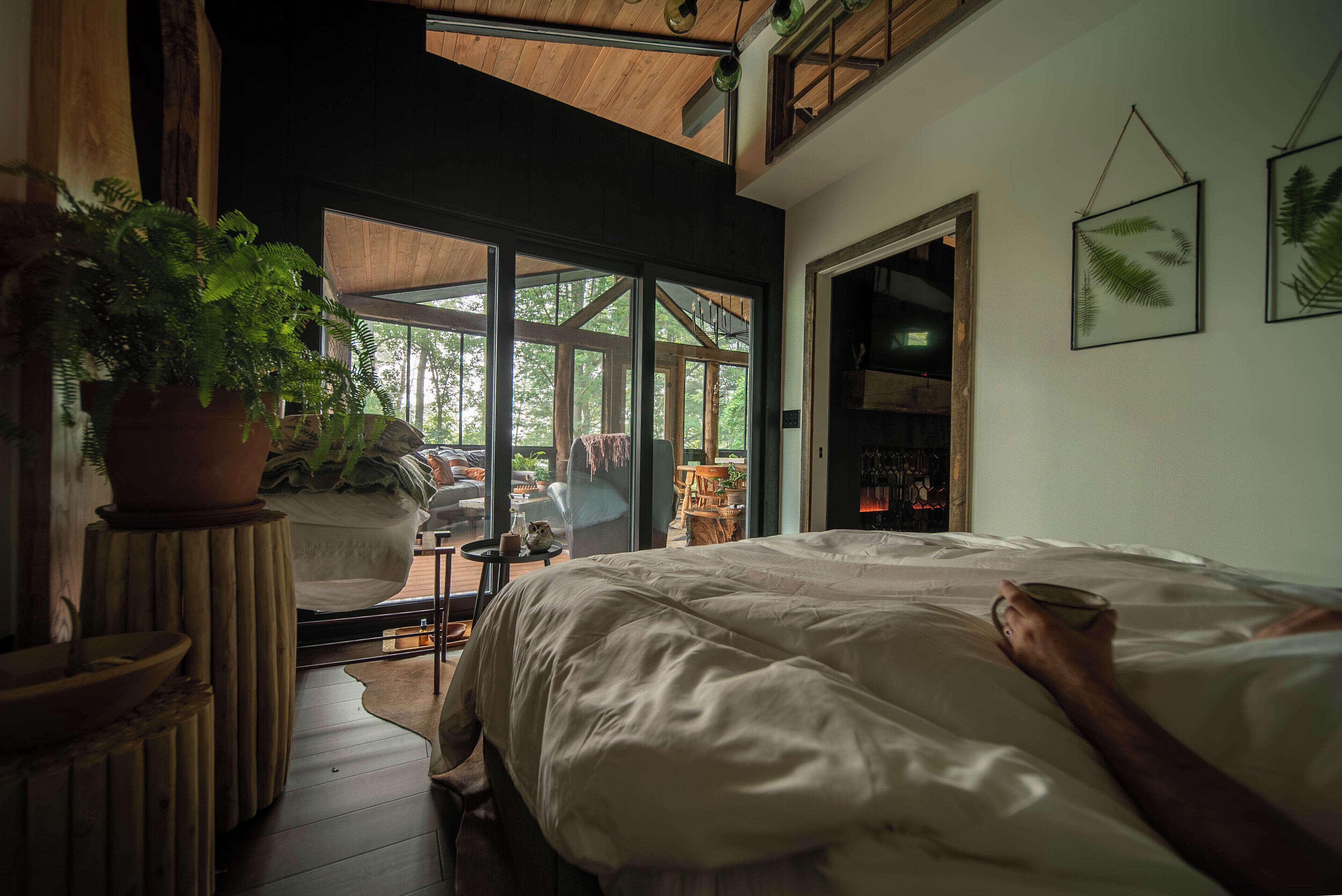 Un dormitorio con una cama grande, una planta en maceta y vistas al exterior.