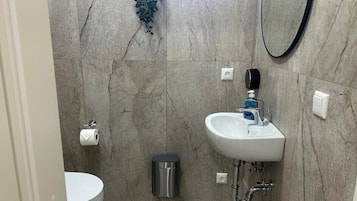 Shower, hair dryer, shampoo