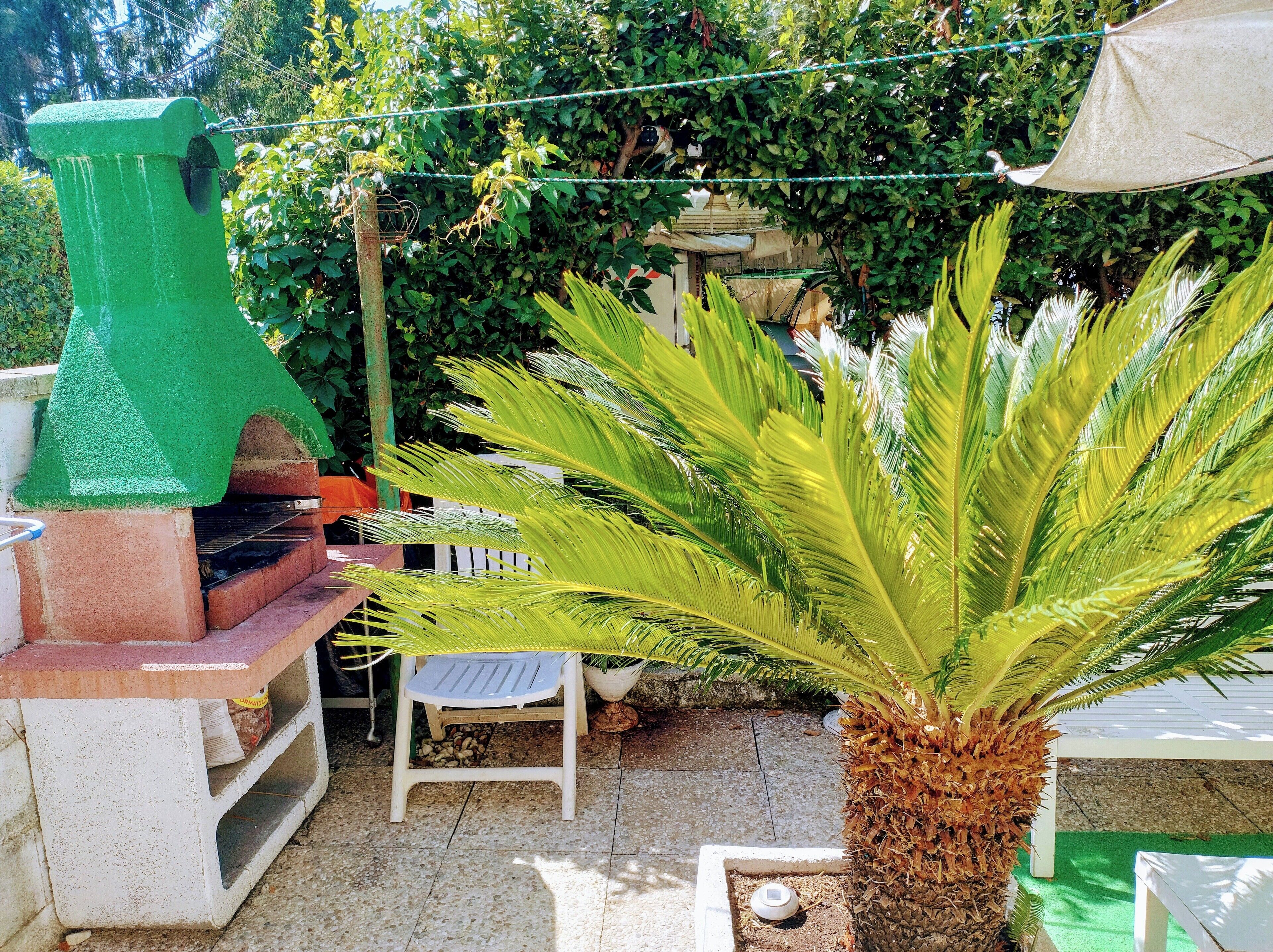 Eine Terrasse mit Grill, einem weißen Stuhl und einer Palme.