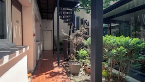 Un espace extérieur abrité, doté d’une allée dallée, de plantes en pot et d’une porte portant le numéro 800.