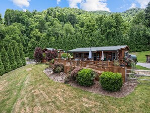 Property grounds - One Bedroom Cabin 43 Acre Retreat Pets OK-Fenced, Private, Views, Internet (Waynesville)