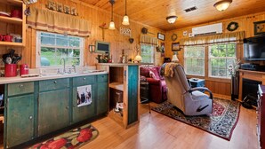 A cozy cabin interior with wooden walls, a kitchen with a sink and cabinets, a living area with a sofa and a television, and a fireplace.