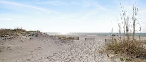 Nära stranden