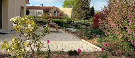 A garden with a gravel path, a wooden bench, and various plants.