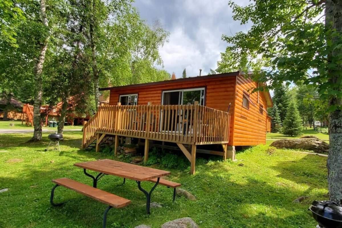 Une cabane en bois dotée d’une terrasse, entourée d’une végétation luxuriante et agrémentée d’une table de pique-nique.