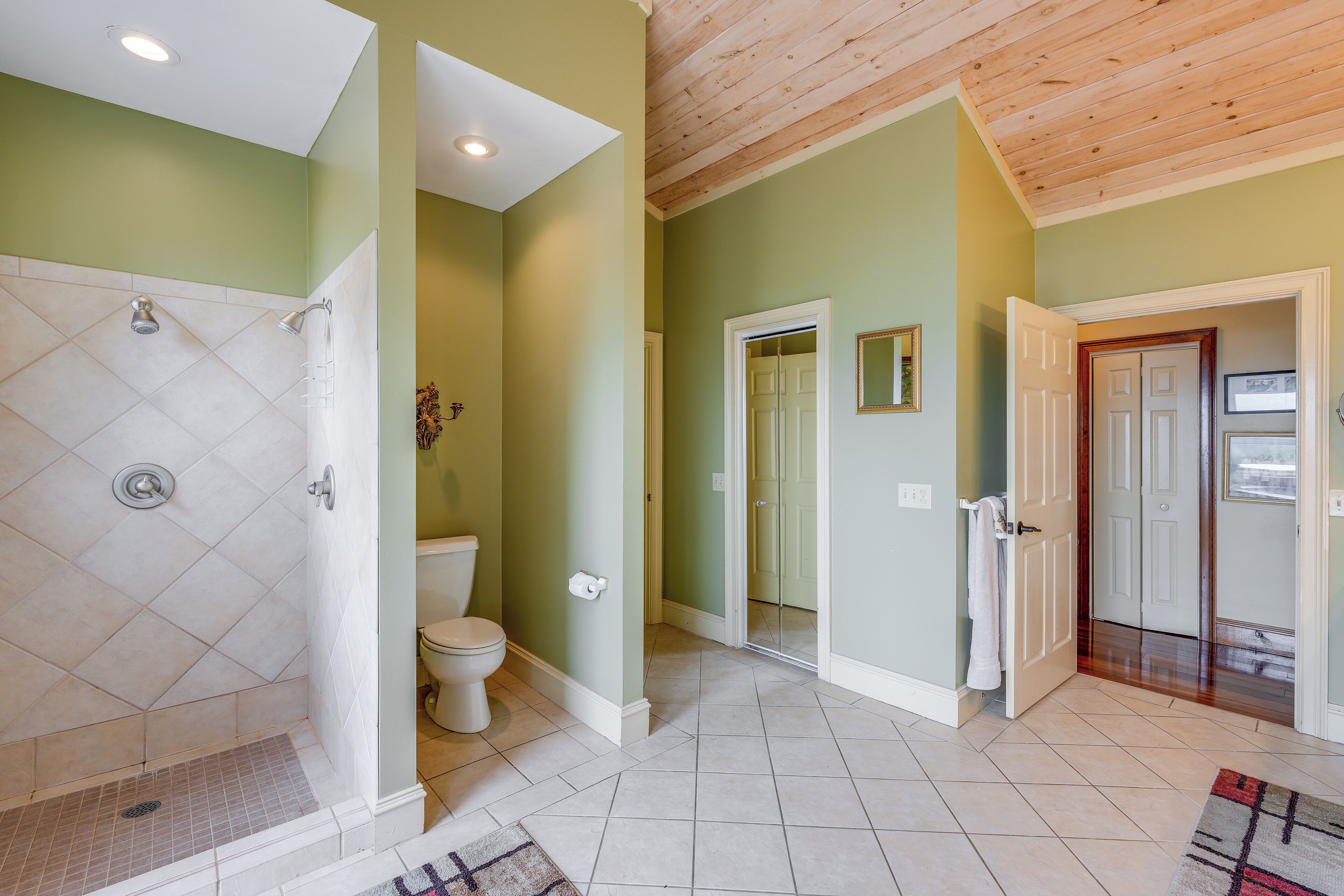 A bathroom with a shower, toilet, and a walk-in closet.