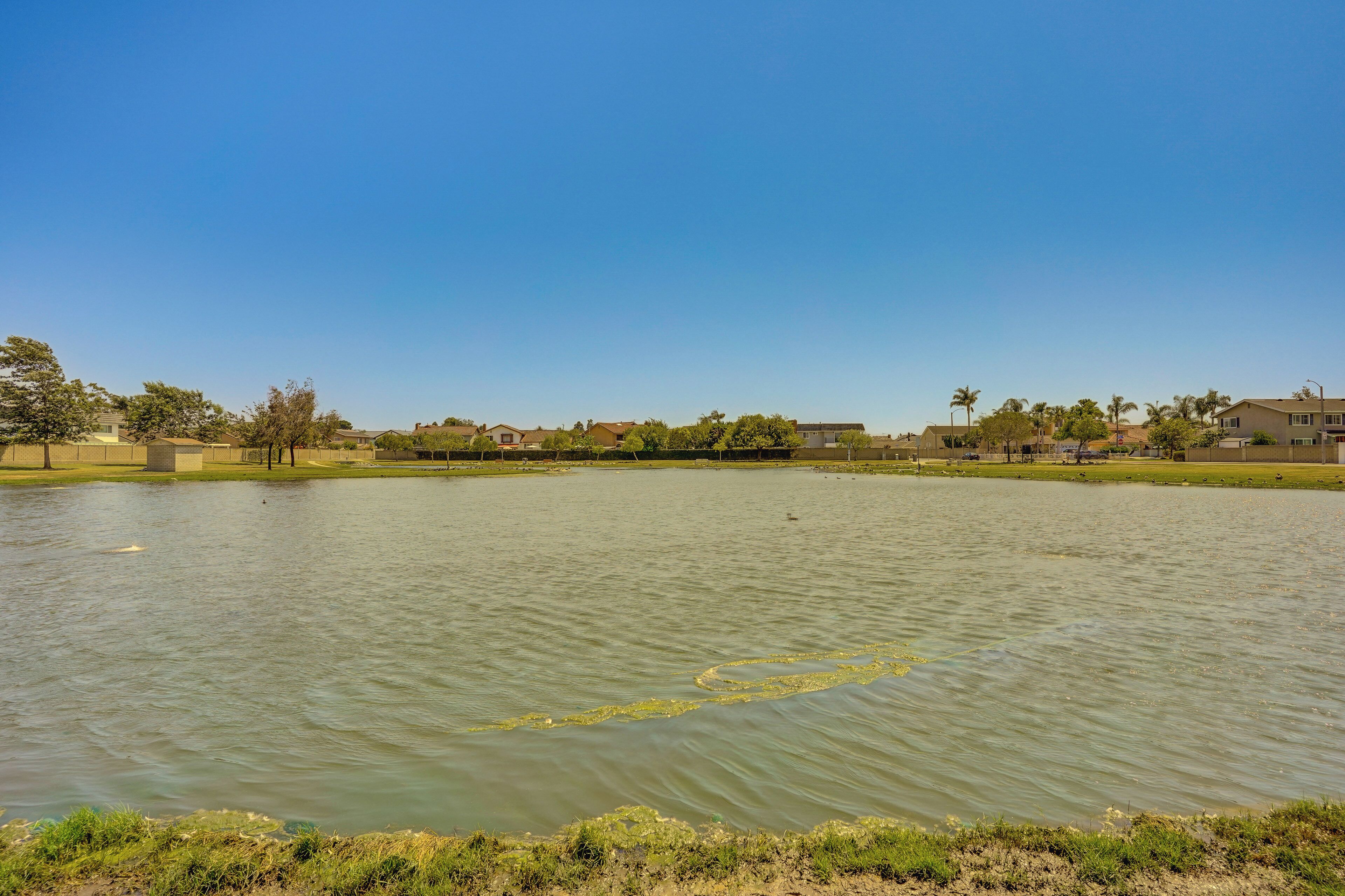 A large body of water with a circular pattern in the center, surrounded by buildings and trees.