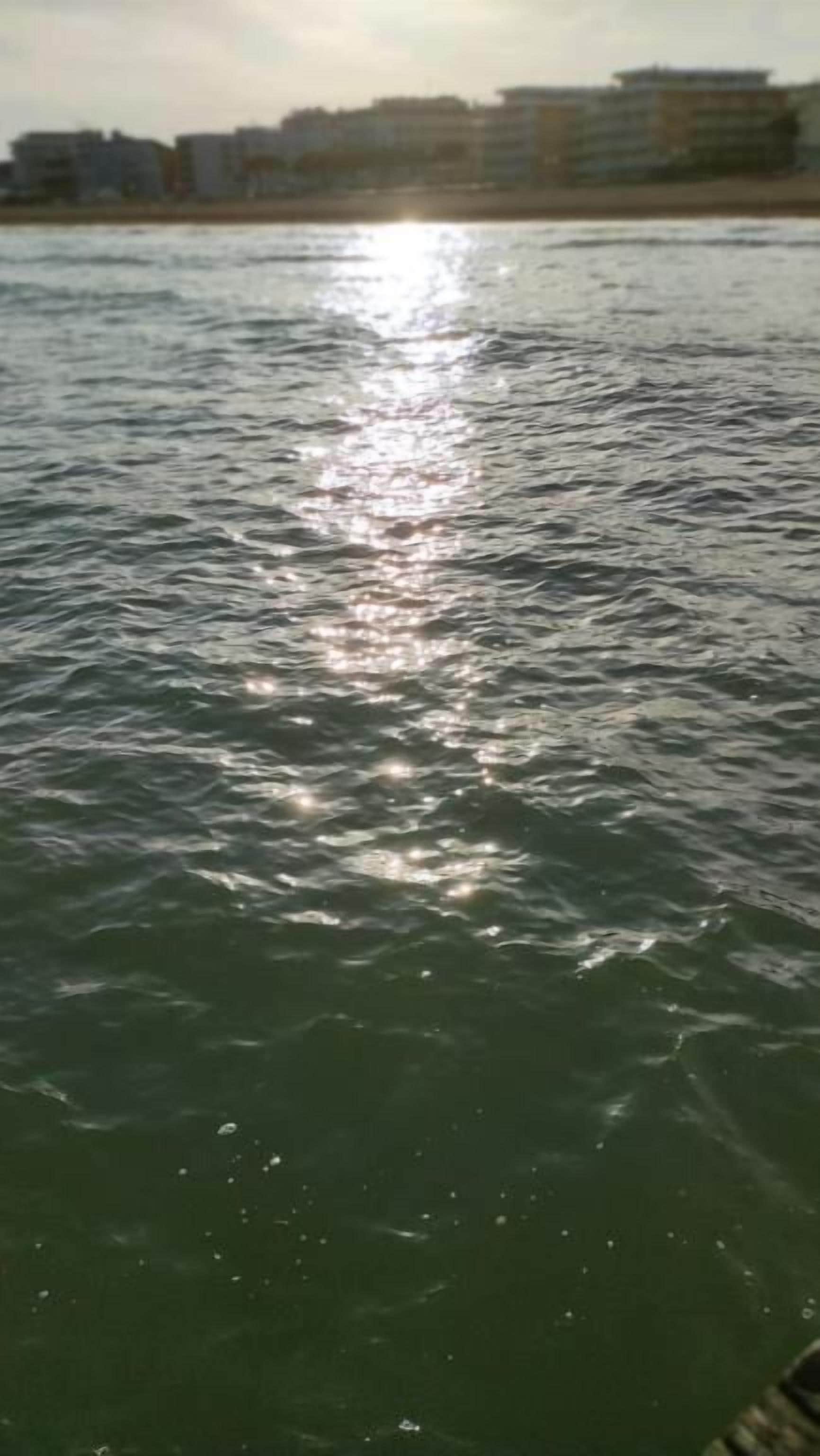 Foto - Le Petit Hotel