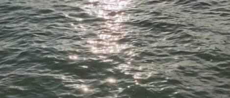 Une étendue d'eau dont la surface reflète la lumière du soleil.