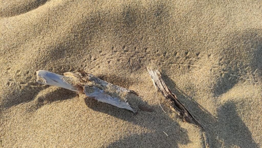 Foto - Le Petit Hotel