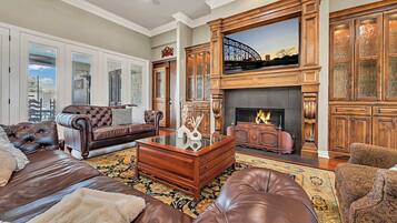 Télévision, cheminée, jeux vidéo, chaîne hi-fi