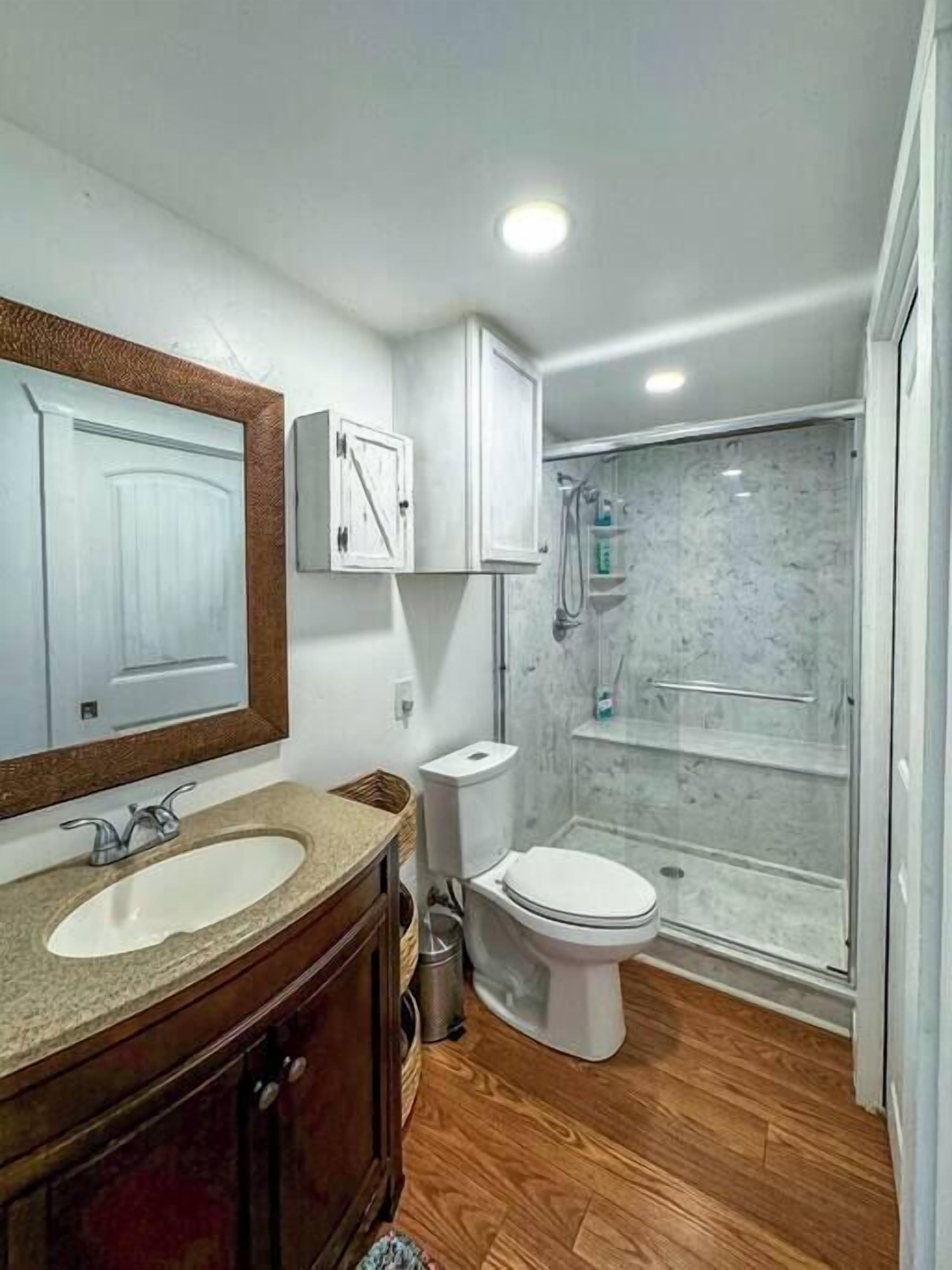 Shower, hair dryer