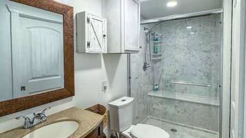 Shower, hair dryer