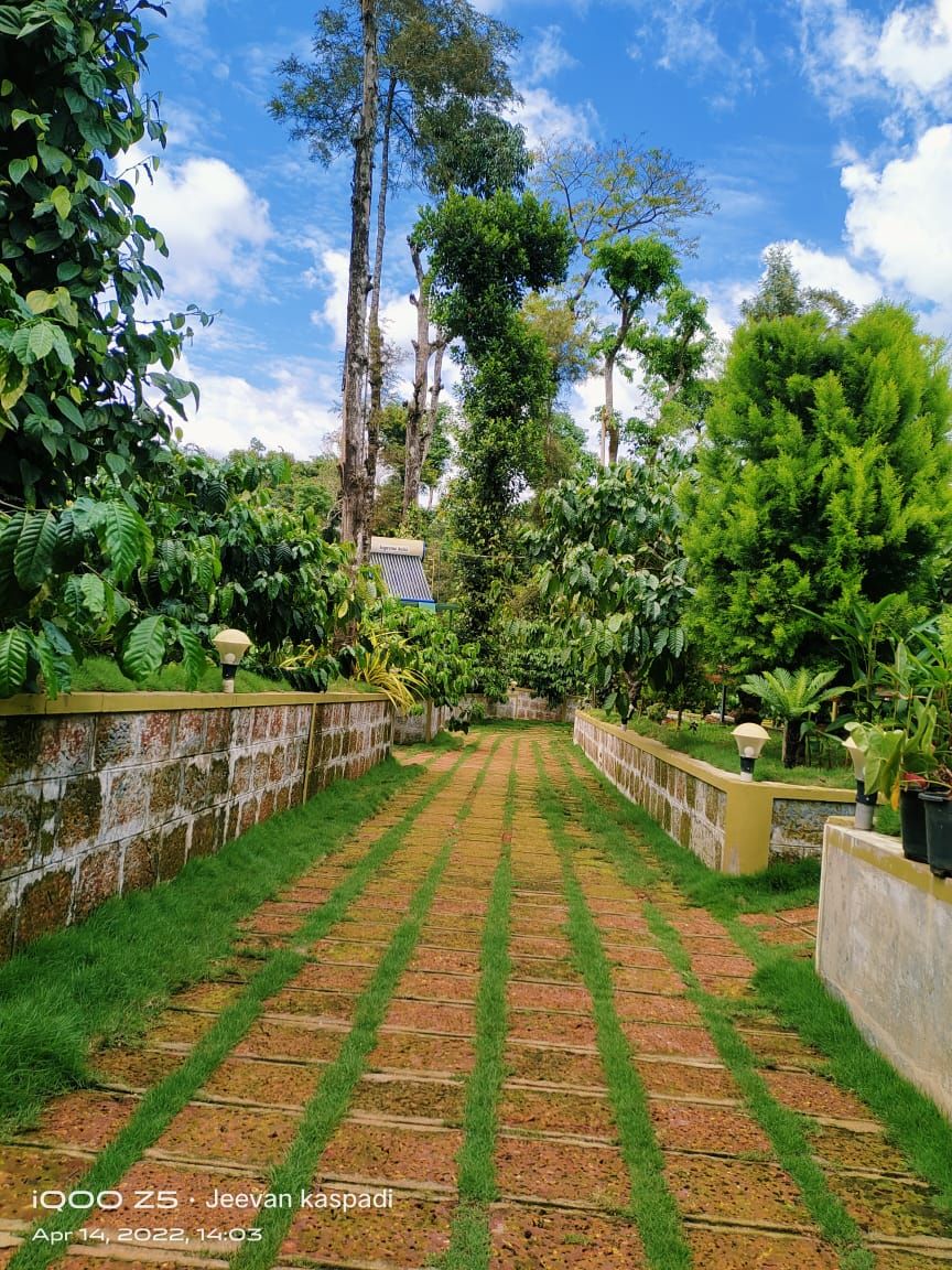 A garden pathway with a brick pattern, surrounded by lush greenery and trees.