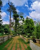 Un sendero de jardín con diseño de ladrillo, rodeado de vegetación exuberante y árboles altos.