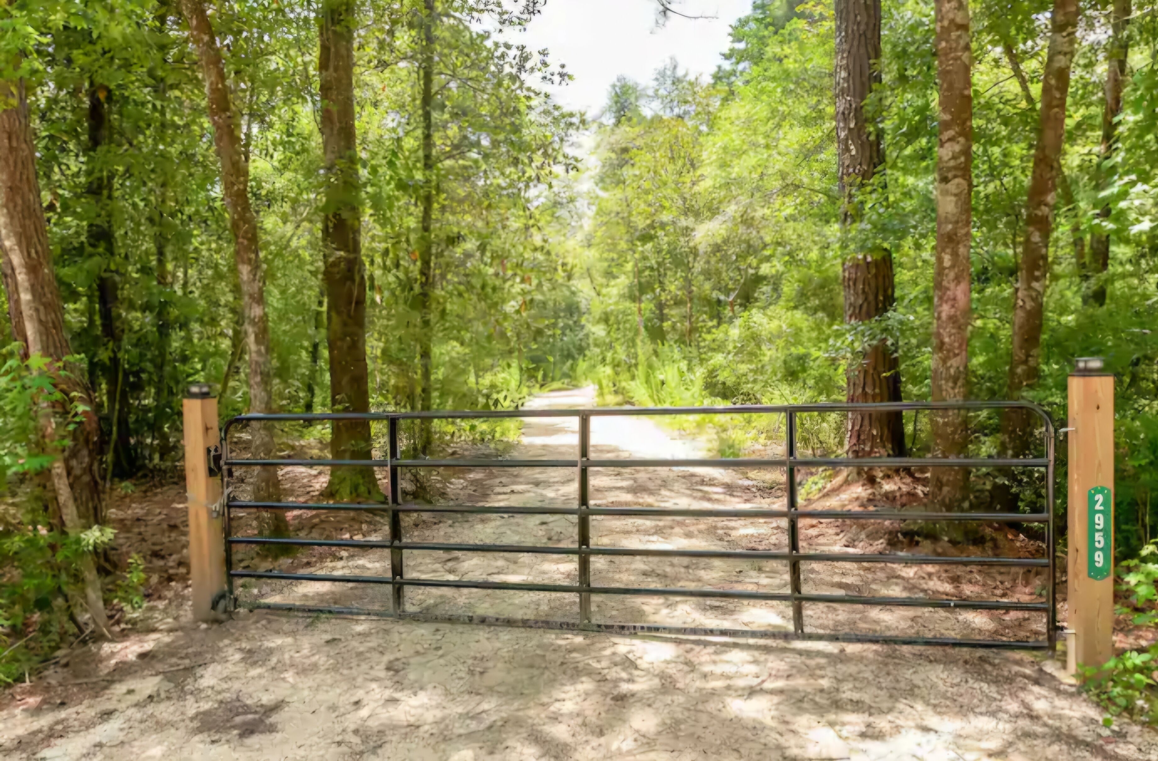 A forested area with a metal gate and a dirt path leading through.