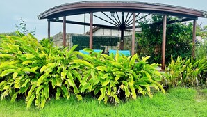 A gazebo with a curved roof and a central column, surrounded by lush green plants and grass.
