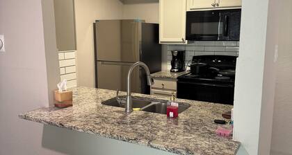 Cozy 2-bedroom condo in terrific Dallas with AC, WiFi etc.