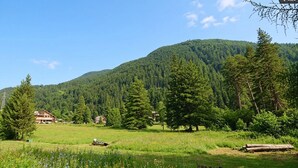 A rural landscape with a mountain, forest, and a few buildings. - CASA-Grand Laus: Duplex familial, sauna et jacuzzi (Aiguilles)