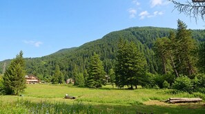 A rural landscape with a mountain, forest, and a few buildings. - CASA-Grand Laus: Duplex familial, sauna et jacuzzi (Aiguilles)