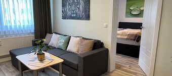 Modern stylish guest apartment