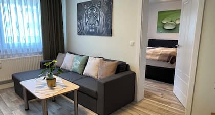 Modern stylish guest apartment