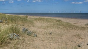 Ein Strand mit Windkraftanlagen in der Ferne.
