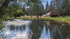 A pond with a fountain, surrounded by trees and a wooden house with a porch. - Serene Farmhouse with Pond & Forest View in Beautiful Grass Valley (Grass Valley)