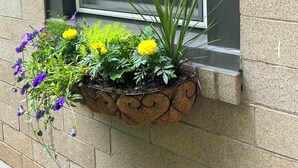 Bloemendoos met verschillende planten en bloemen, waaronder gele en paarse bloemen, voor een bakstenen muur.