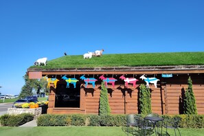 Utendørsservering