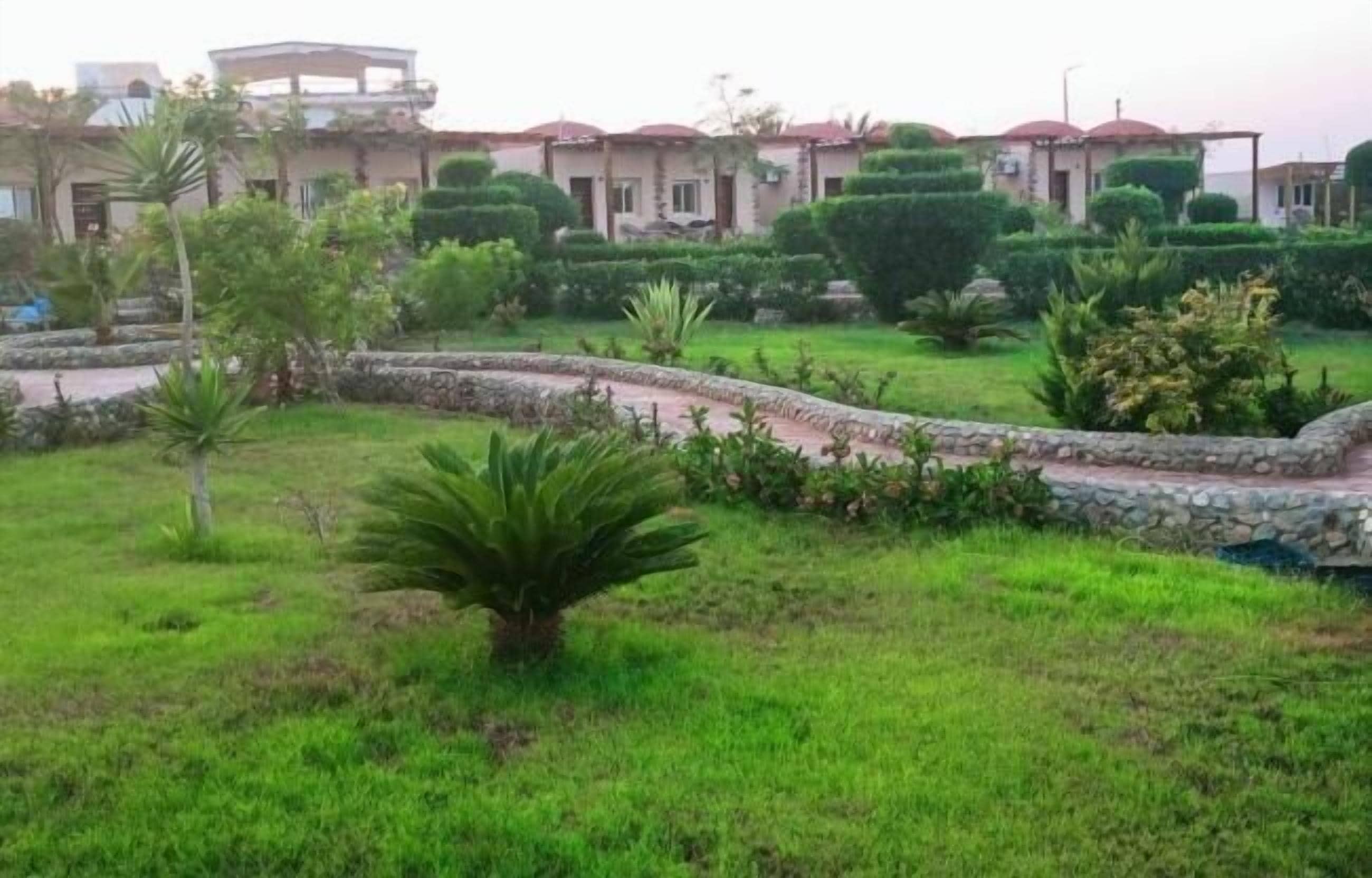 حديقة