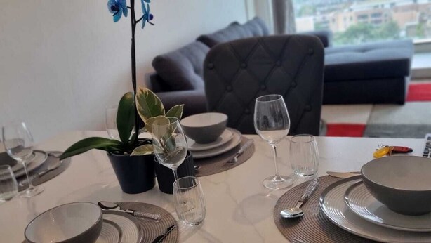 A dining table set with plates, bowls, and wine glasses, a potted plant, and a sofa in the background.