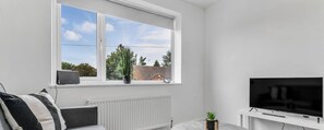 Een woonkamer met een groot raam, een bank, een radiator, een televisie en een kleine plant.