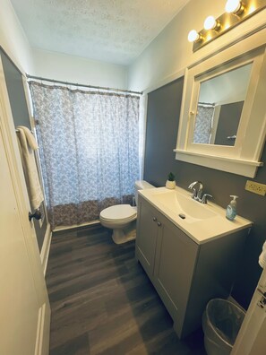 Hair dryer, towels, soap, shampoo