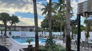 Un área junto a la piscina con sillones reclinables, una piscina y palmeras.