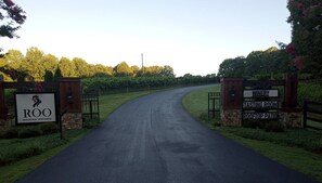 Une route de campagne menant à l’entrée d’un vignoble, avec des panneaux indiquant la présence d’un domaine viticole, d’une salle de dégustation et d’une terrasse sur le toit.