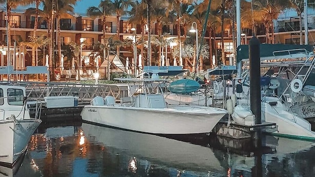 A marina with boats docked, palm trees, and a building with multiple balconies.