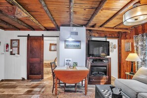 TV, fireplace, DVD player, books