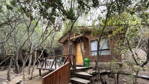 Eine rustikale Holzhütte mit einer Holztreppe, die zu einer Veranda führt, umgeben von Bäumen.