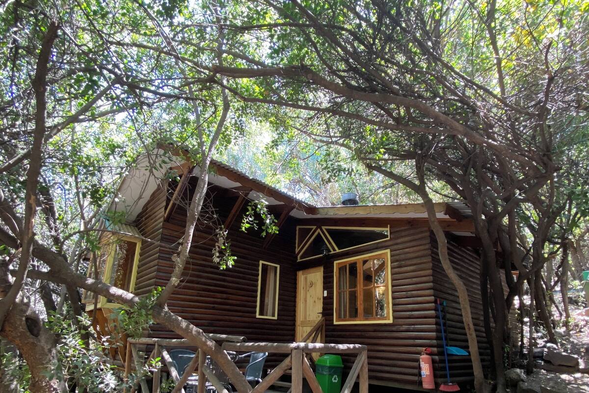 Una baita rustica con un pontile di legno, circondata da alberi.