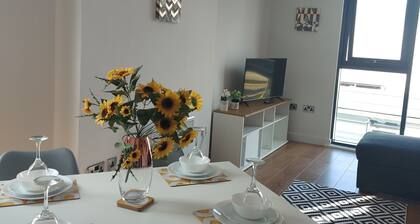 Lovely 2-bedroom apartment in Sheffield Centre Nr Ponds Forge with FREE WiFi