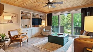 TV, fireplace, books