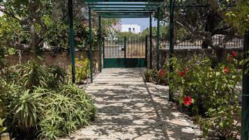 Terrein van de accommodatie