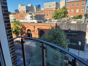 Property grounds - Cozy 1-bedroom apartment in delightful Baltimore with WiFi, AC (Baltimore)