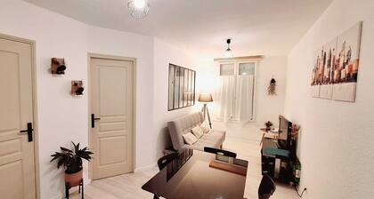 Joli T2 rénové bord plan d'eau