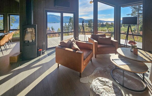 TV connectée, cheminée