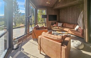 Smart-TV, Kamin