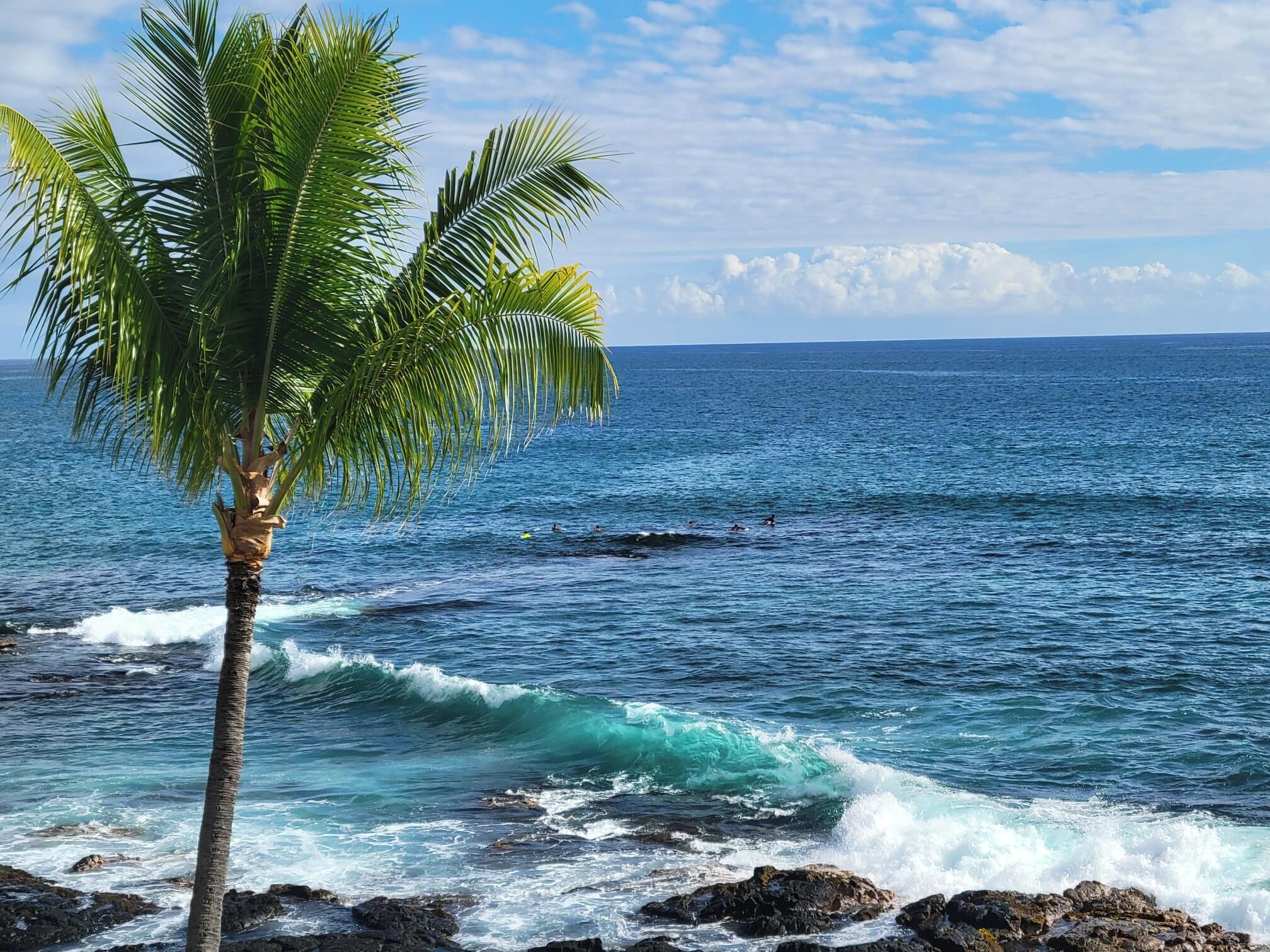 Playa en los alrededores, camastros y toallas de playa 