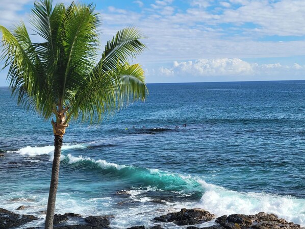 Vlak bij het strand, ligstoelen, strandlakens
